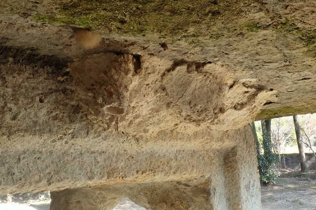 c0369423_20361647.jpg