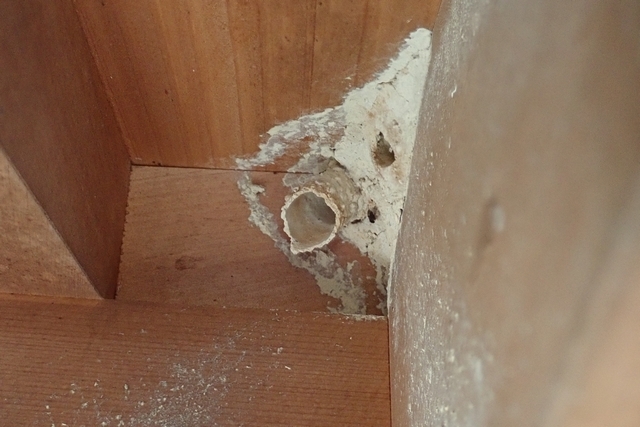 c0369423_20402790.jpg