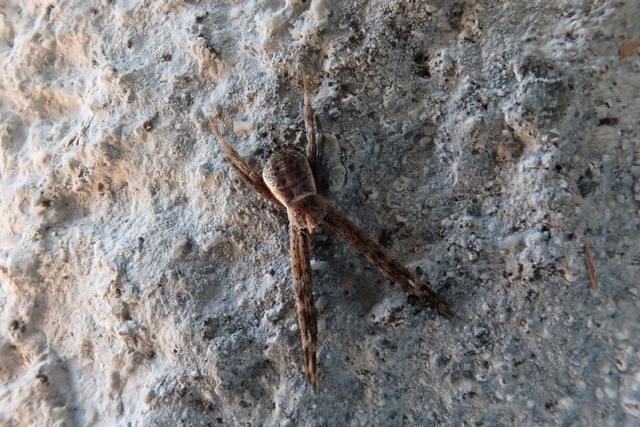 c0369423_20541648.jpg