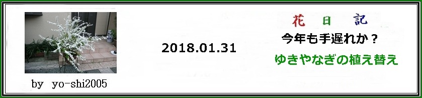 e0033229_17264217.jpg