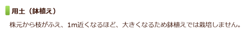 e0033229_1746561.png