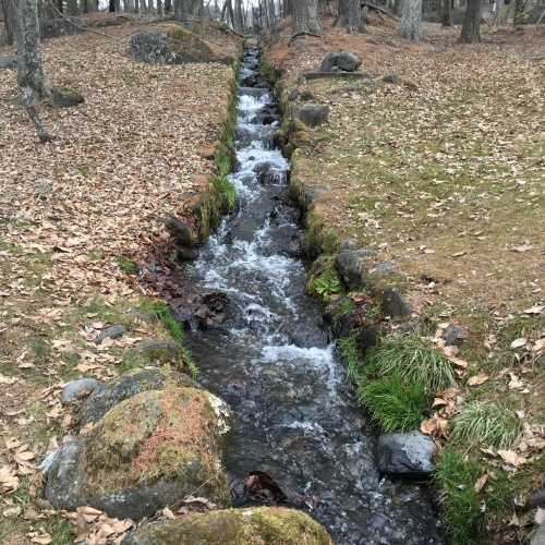 a0291132_17422045.jpeg