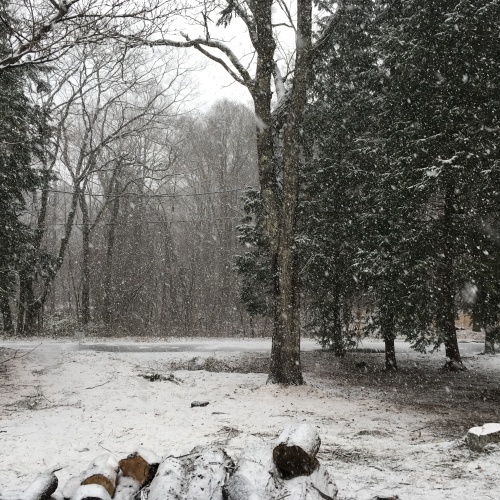 a0291132_17455124.jpeg