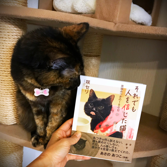 みつきちゃん本発売によせて。_d0355333_19394407.jpg