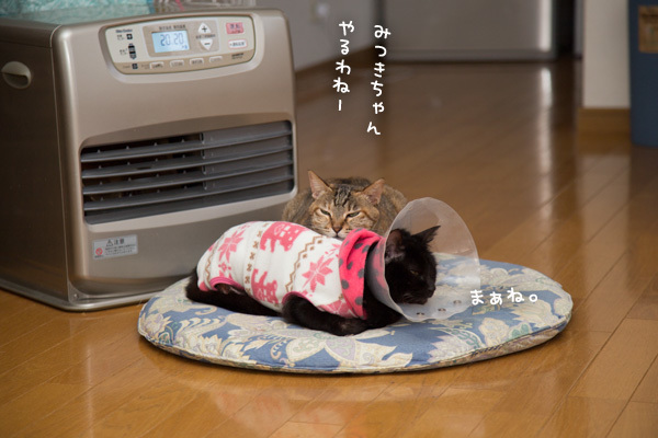 みつきちゃん本発売によせて。_d0355333_19582306.jpg
