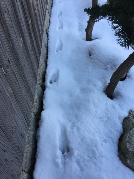 b0323340_19182182.jpeg