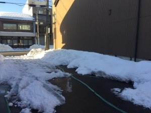 毎日、雪・雪・雪…_f0233340_14391770.jpg