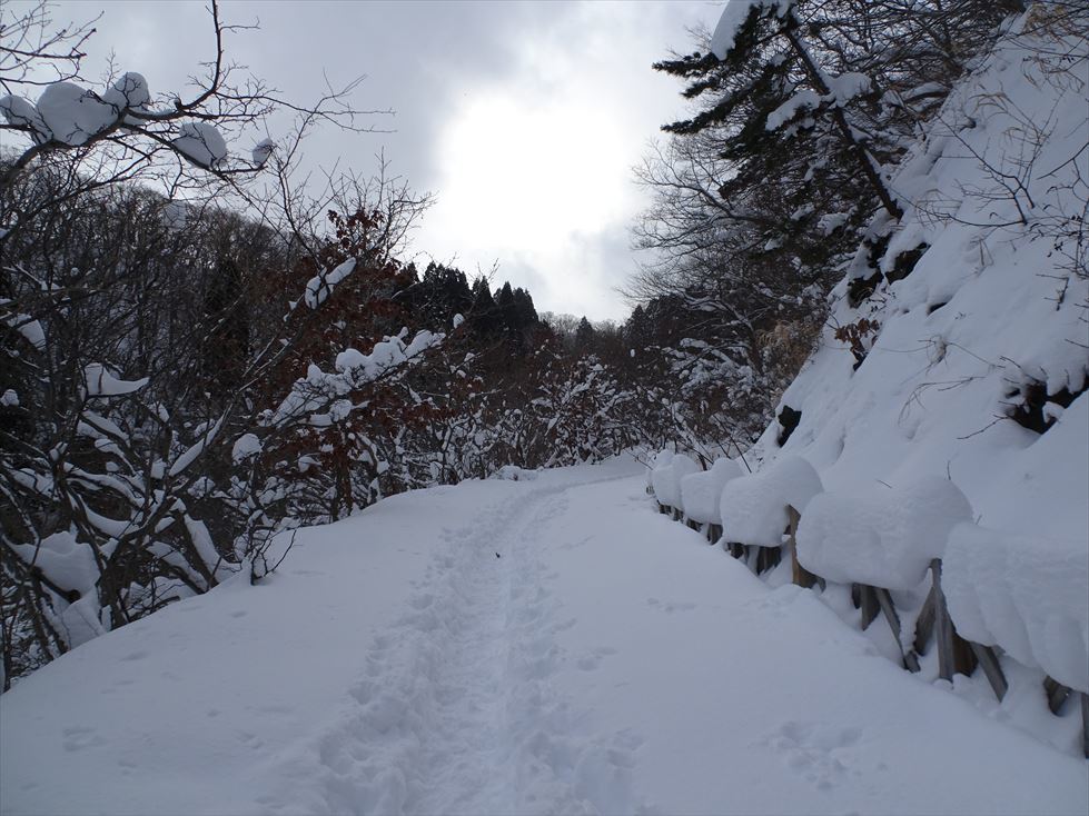 函館山通信1月31日号 函館市住宅都市施設公社 スタッフブログ