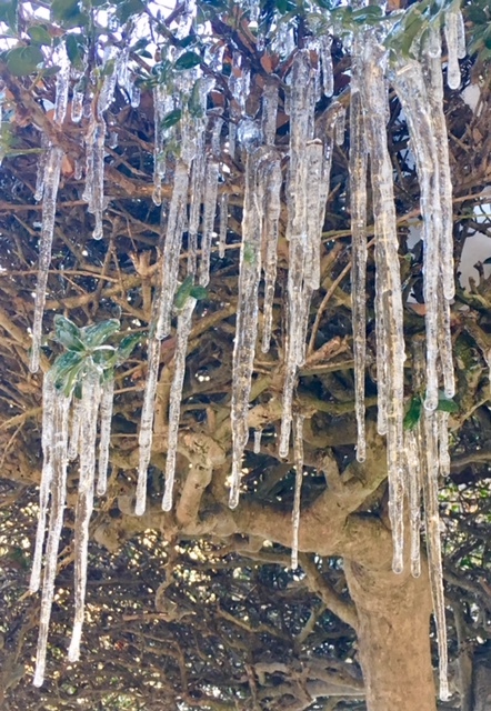 c0331246_19240132.jpg