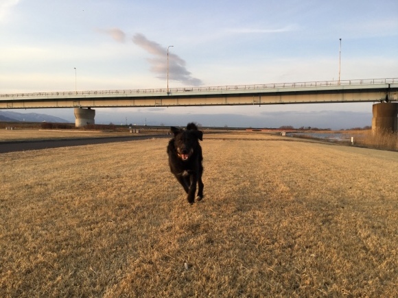 e0341849_20081527.jpeg