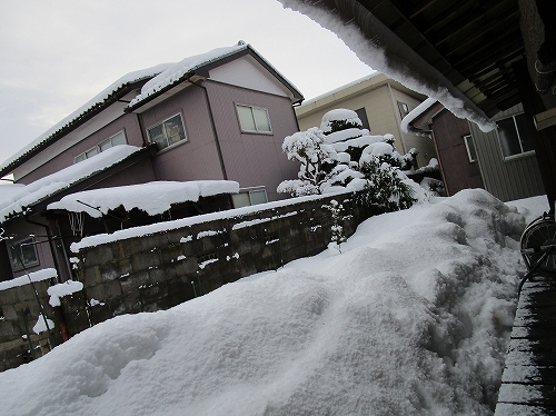 c0327752_11040914.jpg