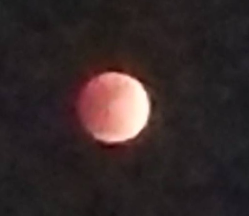 a0053063_22350645.jpeg