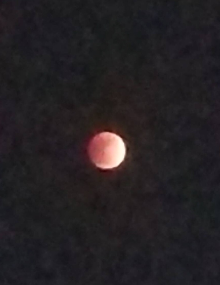 a0053063_22364781.jpeg