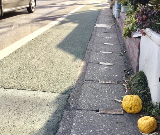 a0053063_23025125.jpeg