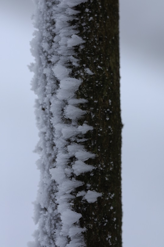 e0304170_17410117.jpg