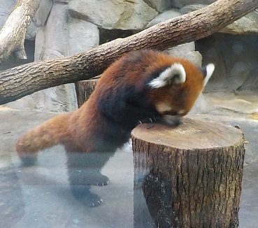 e0126875_15344649.jpg