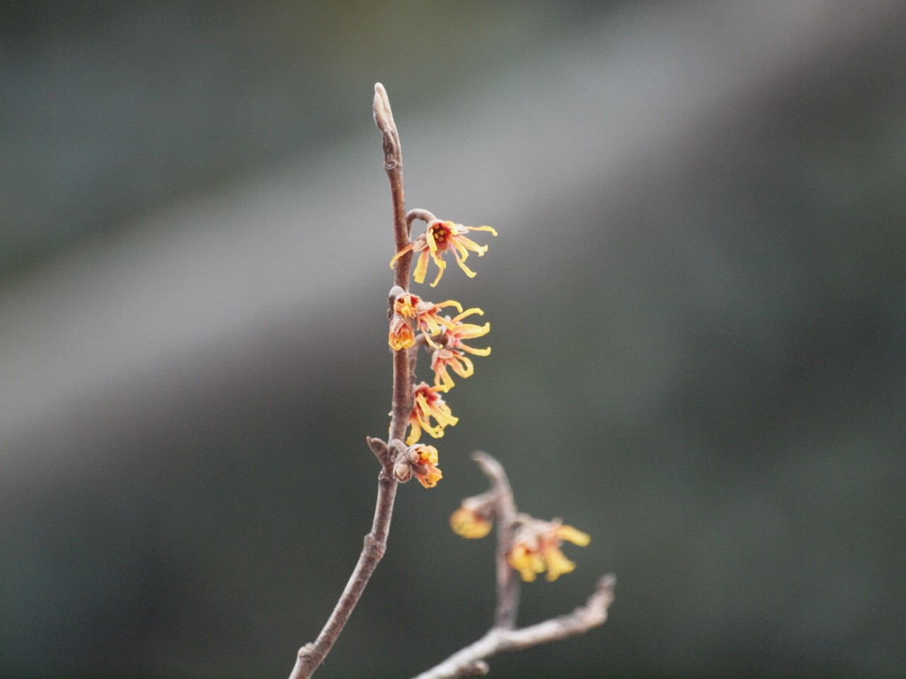 d0054276_20121157.jpg