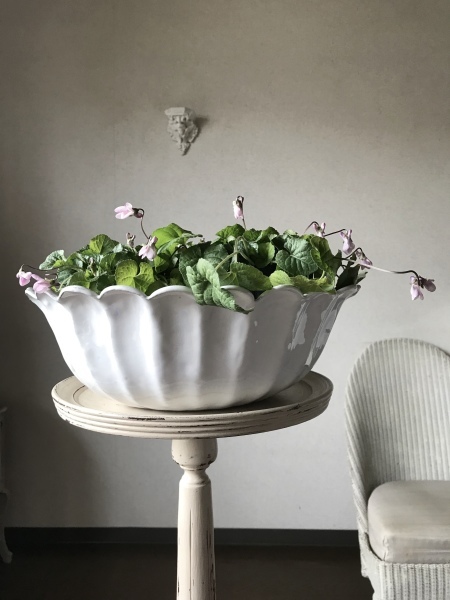 d0125776_13121223.jpeg