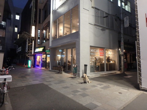 f0052277_02053856.jpg