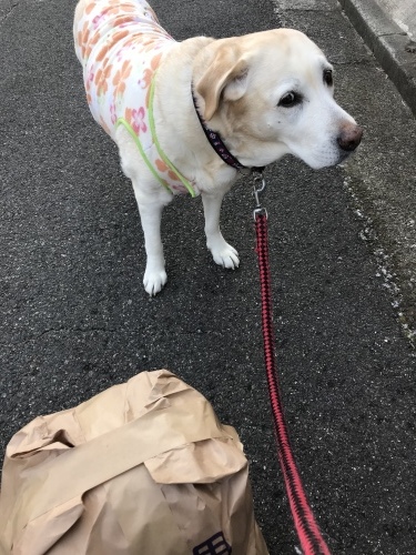 f0315081_22142929.jpeg