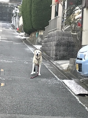 f0315081_22175463.jpeg