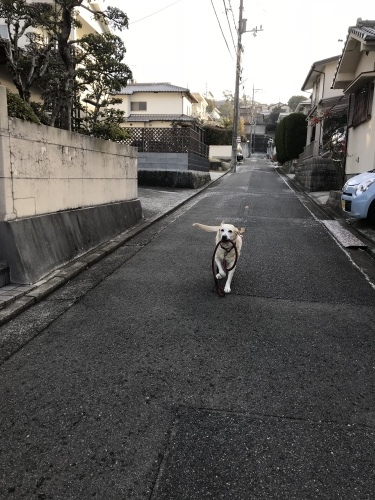 f0315081_22183272.jpeg