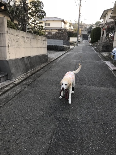 f0315081_22191731.jpeg