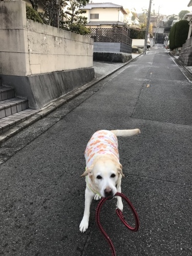 f0315081_22195035.jpeg