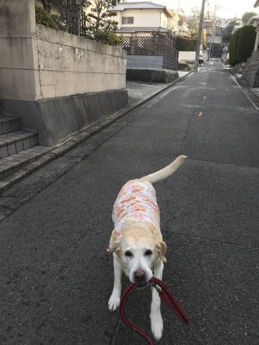 f0315081_22202328.jpeg