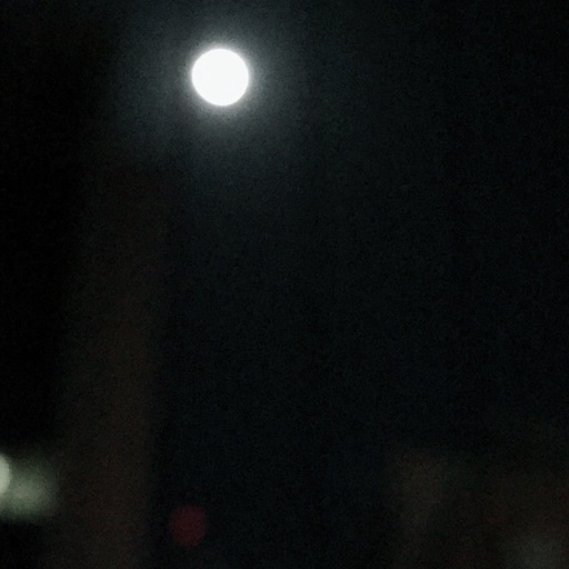f0202682_21343123.jpg