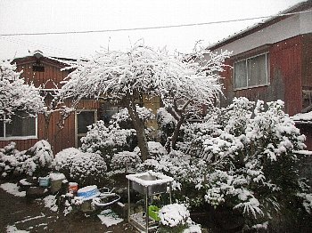 f0003283_08585663.jpg