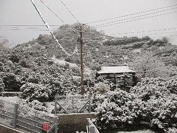 f0003283_08585907.jpg