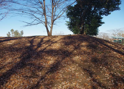 b0123486_16365897.jpg