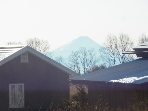 e0008887_10470951.jpg