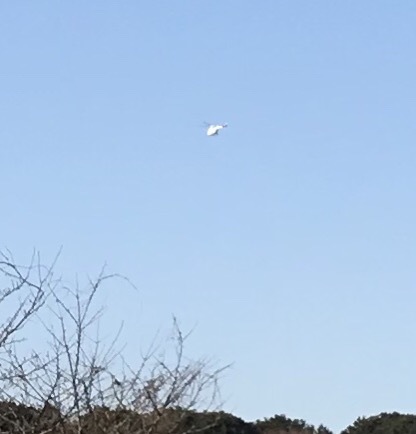 a0027290_12023711.jpeg
