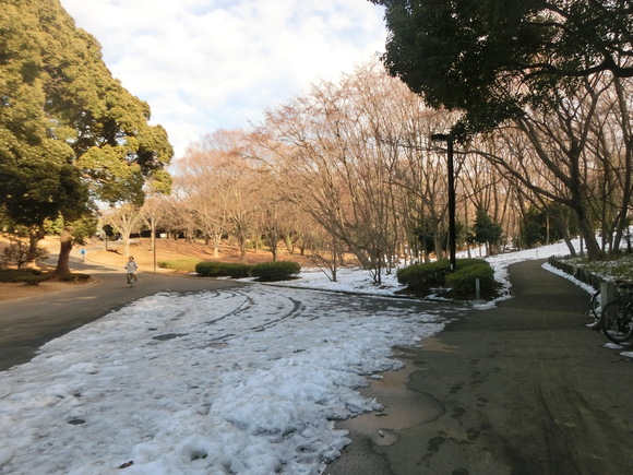 a0319693_7475318.jpg