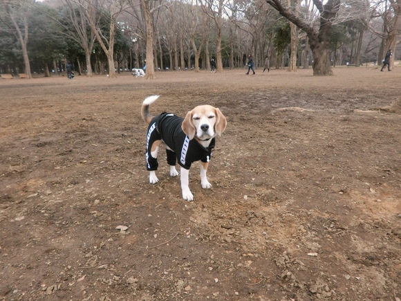 a0319693_7563779.jpg