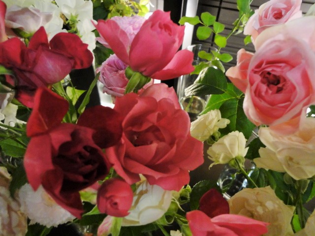 e0202296_2591795.jpg