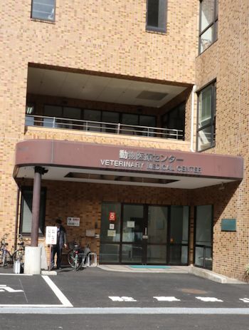 c0090198_9403847.jpg