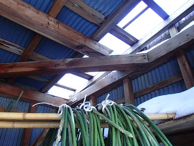 c0187298_2301211.jpg