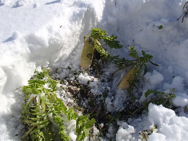 c0187298_231878.jpg