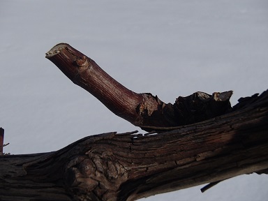 c0187298_232851.jpg
