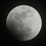 a0155104_01163477.gif