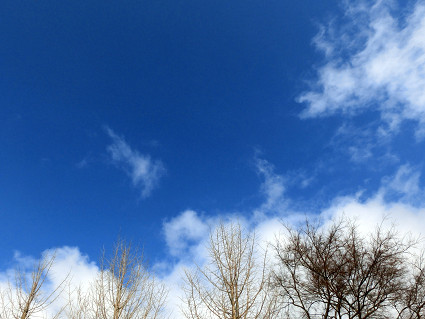 a0345107_19334504.jpg