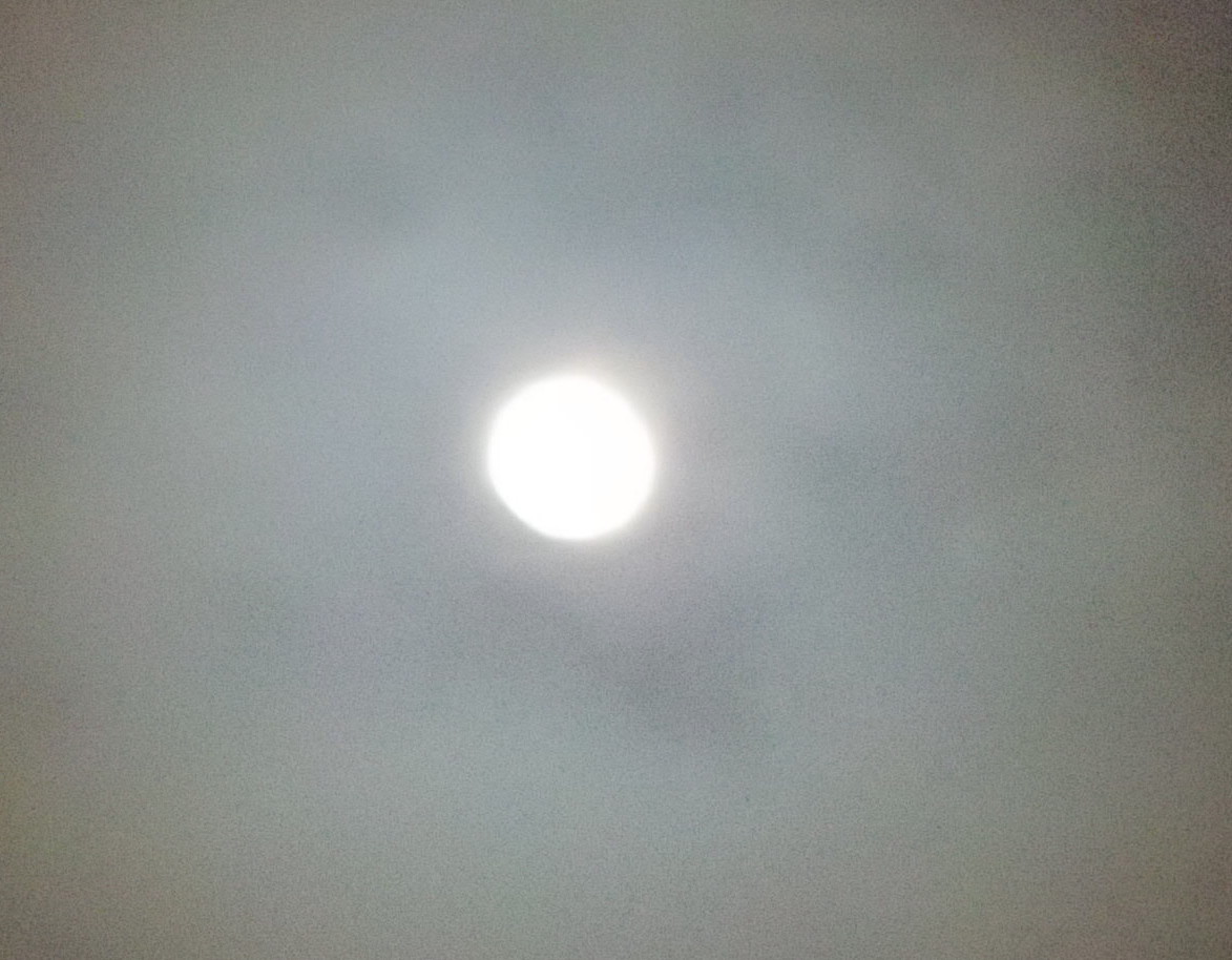 d0251807_08122893.jpg
