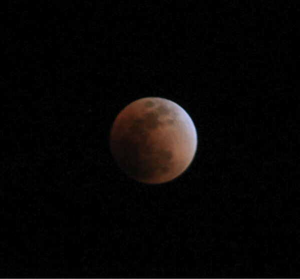 e0364007_10014025.gif