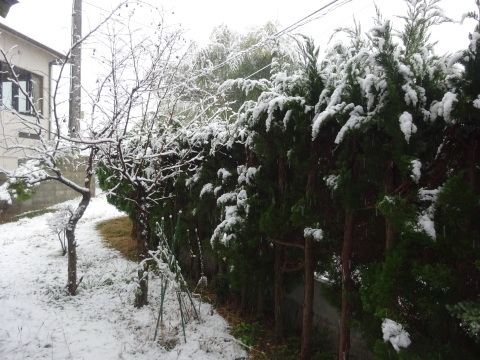 f0231709_10300083.jpg
