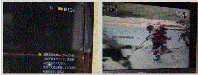 f0231709_10333658.gif