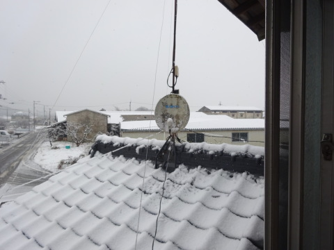 f0231709_10341673.jpg