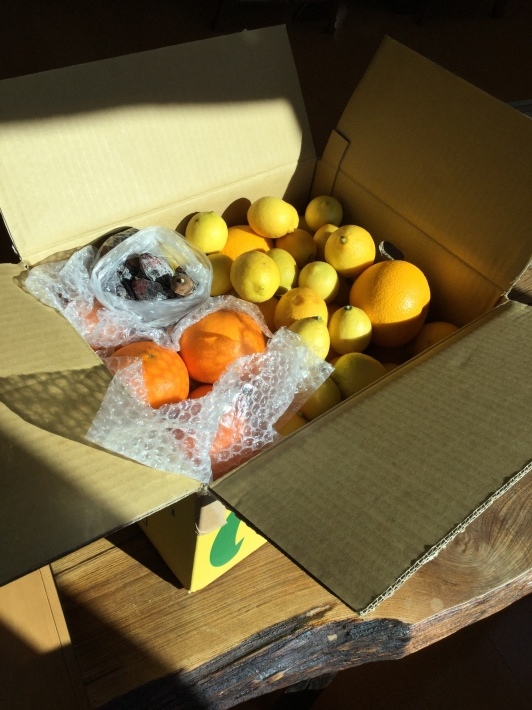 a0340410_21441322.jpeg